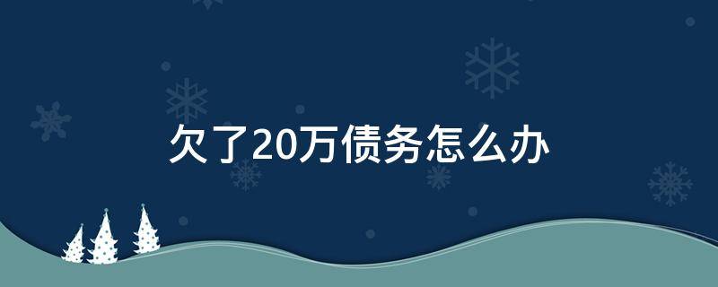 欠了20万债务怎么办（欠了20多万债务怎么还）