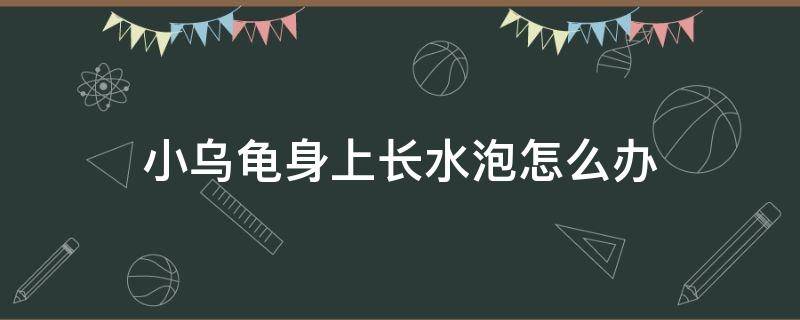 小乌龟身上长水泡怎么办 乌龟身上起水泡怎么办