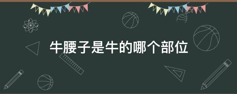 牛腰子是牛的哪个部位 牛腰子是什么