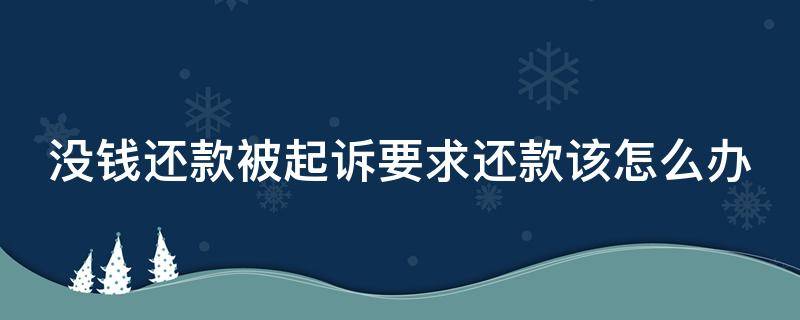 没钱还款被起诉要求还款该怎么办（没钱还款被起诉要求还款该怎么办呢）