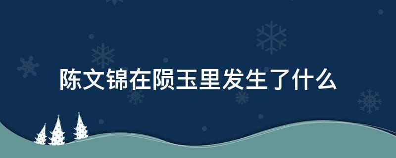 陈文锦在陨玉里发生了什么 陈文锦进了陨玉然后呢