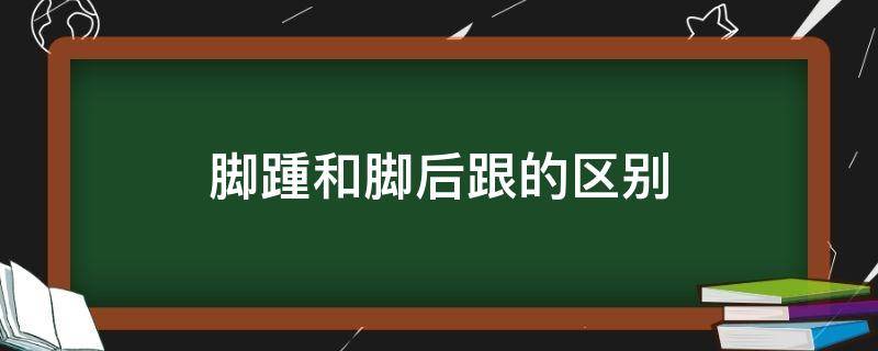 脚踵和脚后跟的区别 脚踵与脚后跟有什么区别