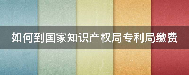 如何到国家知识产权局专利局缴费 国家知识产权局专利缴费查询