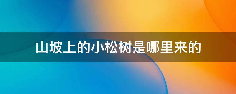 山坡上的小松树是哪里来的 山坡上的小松树是哪里来的想一想写在下面横线上