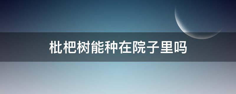 枇杷树能种在院子里吗 院子里可以种枇杷树吗