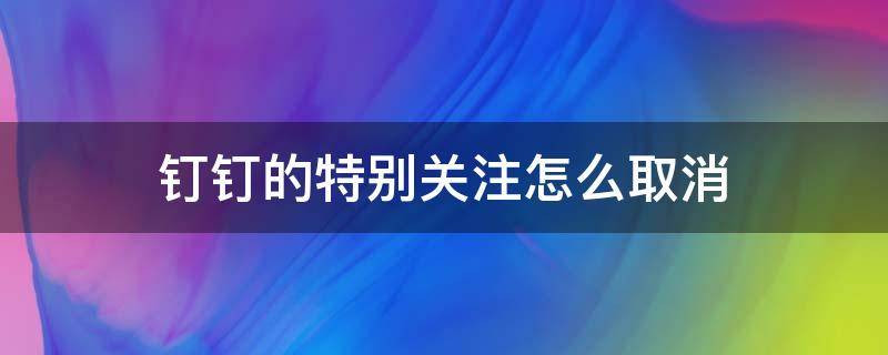 钉钉的特别关注怎么取消 如何取消钉钉的特别关注