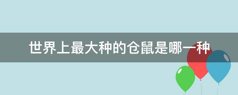 世界上最大种的仓鼠是哪一种（世界上最大的仓鼠是什么仓鼠）