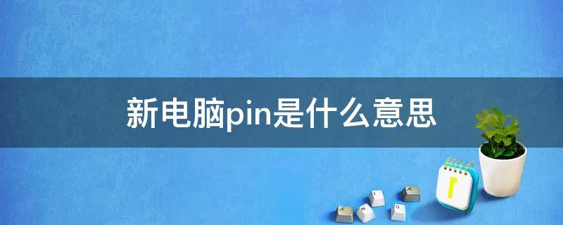 新电脑pin是什么意思（新电脑的pin）