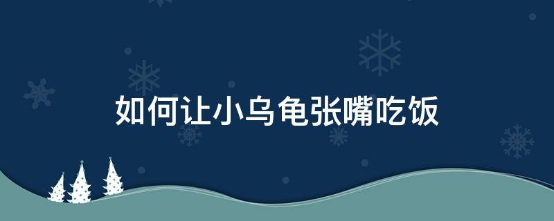 如何让小乌龟张嘴吃饭（怎么让小乌龟张开嘴巴吃东西）