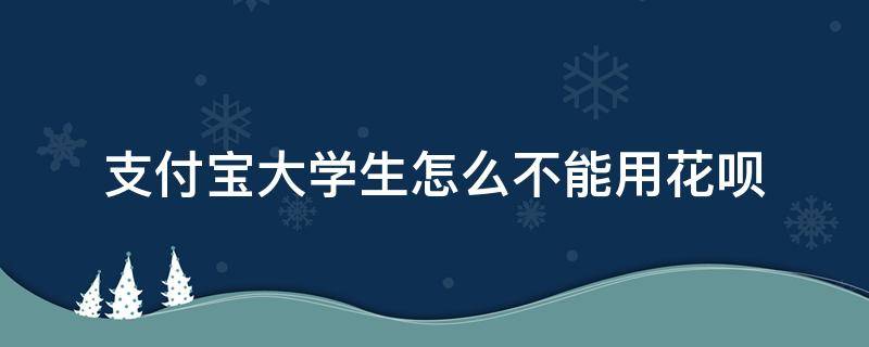 支付宝大学生怎么不能用花呗 支付宝大学生不能用花呗了吗