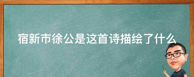 宿新市徐公是这首诗描绘了什么（宿新市徐公店这首诗描绘了什么表达了作者什么之情）