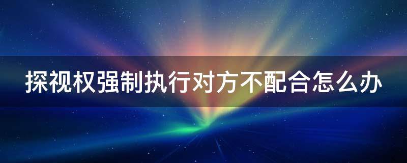 探视权强制执行对方不配合怎么办（探视权强制执行对方不配合怎么办）