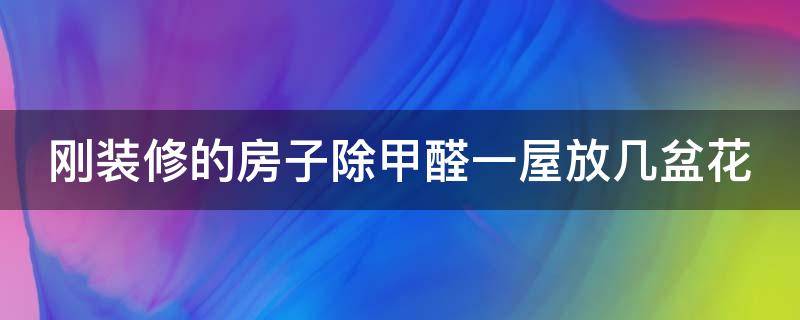 刚装修的房子除甲醛一屋放几盆花（新装修的房除甲醛后能立即入住吗?）