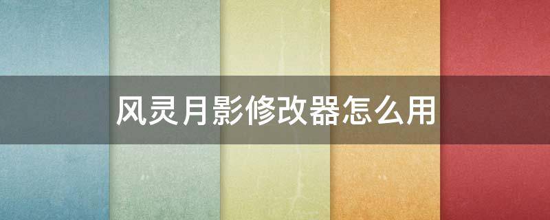 风灵月影修改器怎么用 无主之地风灵月影修改器怎么用