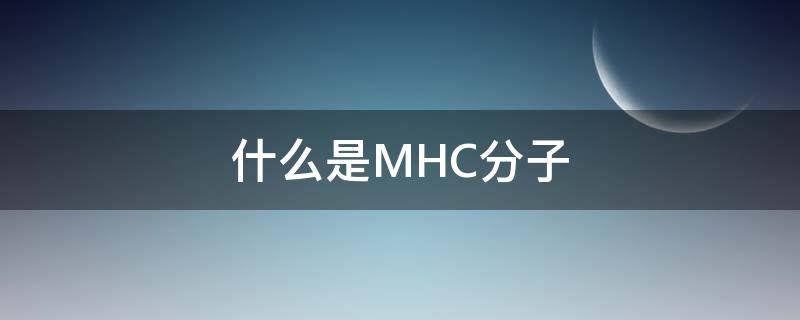 什么是MHC分子 什么是MHC分子