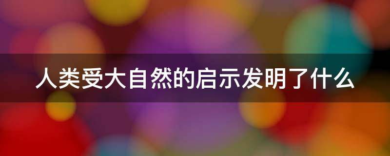 人类受大自然的启示发明了什么 人类受大自然启发的发明有哪些