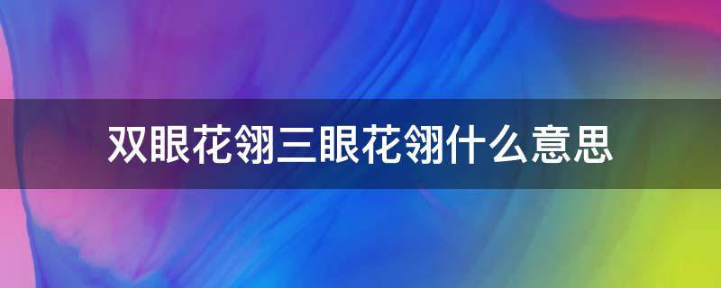 双眼花翎三眼花翎什么意思 双眼花翎 三眼花翎