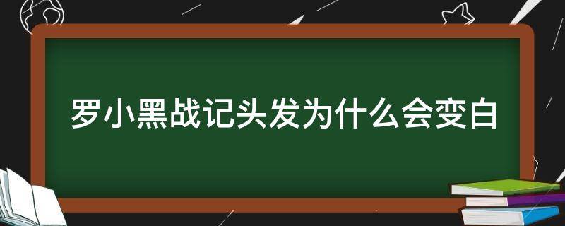 罗小黑战记头发为什么会变白（罗小黑的白头发变回来了吗）