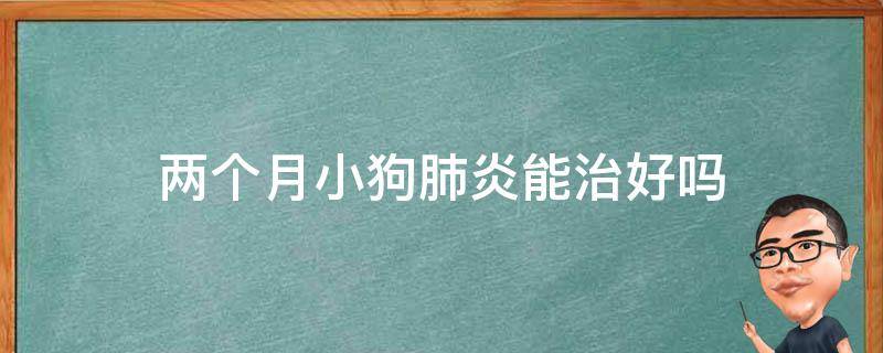 两个月小狗肺炎能治好吗 狗狗2个月肺炎怎么治疗