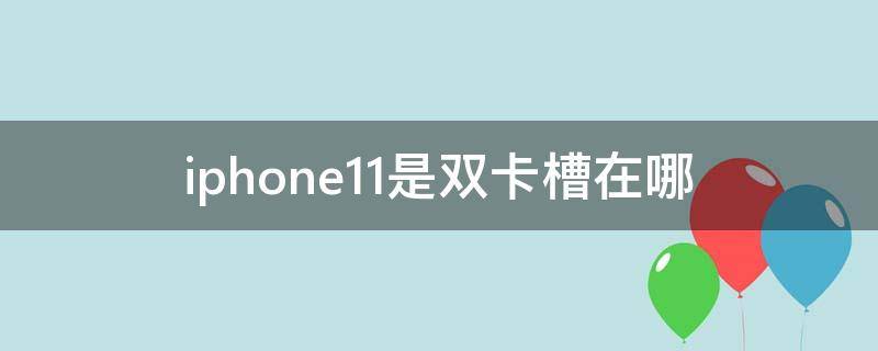 iphone11是双卡槽在哪（iPhone12双卡卡槽在哪）