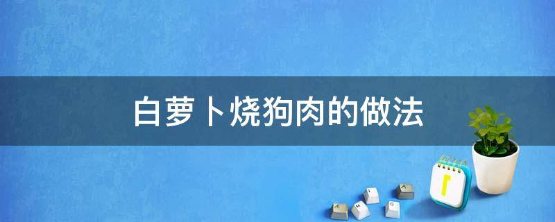 白萝卜烧狗肉的做法（狗肉可以烧白萝卜吗）