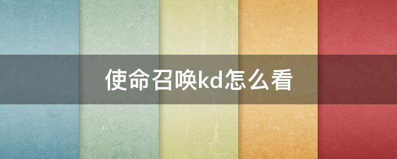 使命召唤kd怎么看（使命召唤kd是什么意思）