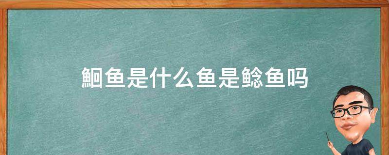 鮰鱼是什么鱼是鲶鱼吗（鮰鱼是什么鱼和鲶鱼有什么区别）