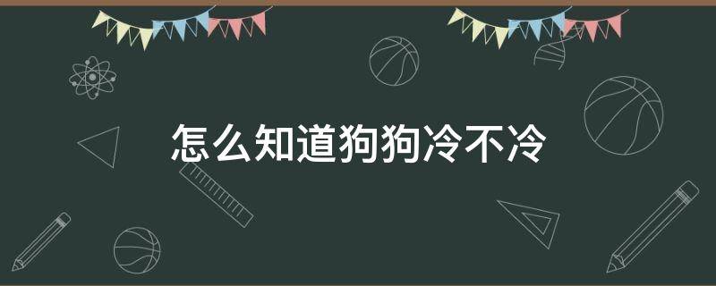 怎么知道狗狗冷不冷（判断狗狗冷不冷）