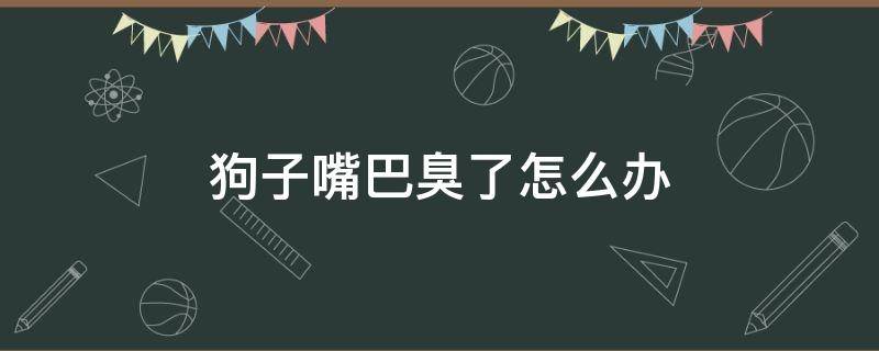 狗子嘴巴臭了怎么办 狗狗嘴里臭怎么办