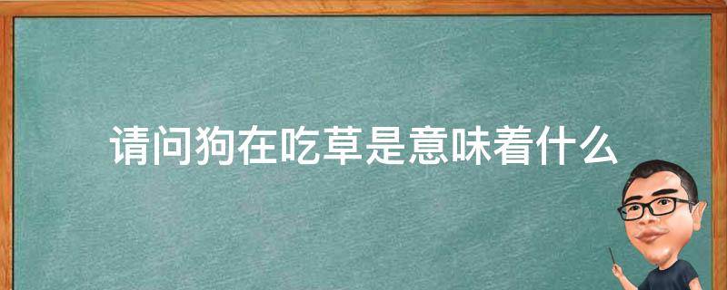 请问狗在吃草是意味着什么 狗吃草预示着什么现象