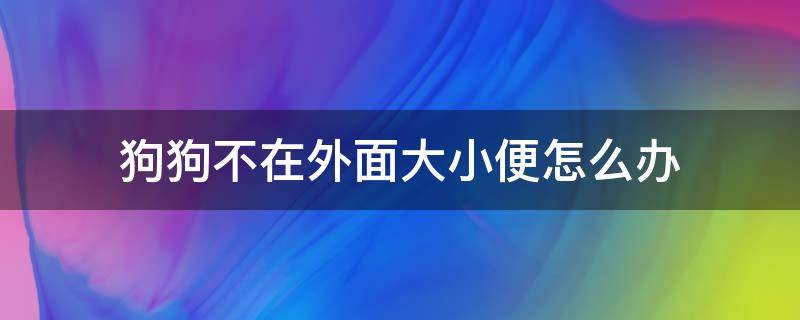 狗狗不在外面大小便怎么办（狗狗去外面不拉屎尿怎么办）