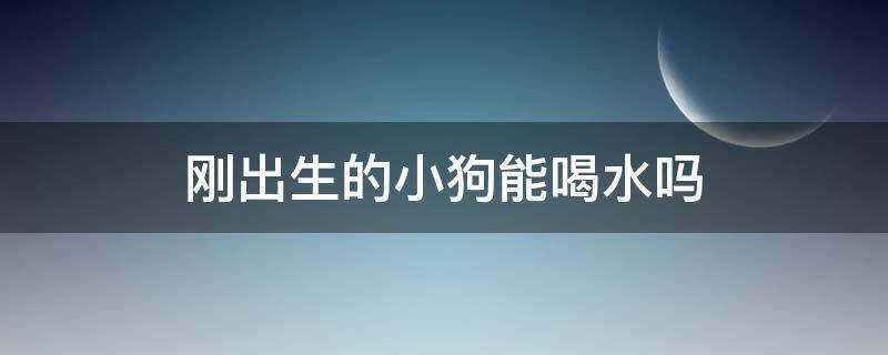 刚出生的小狗能喝水吗（刚出生的小狗能喝水吗?）