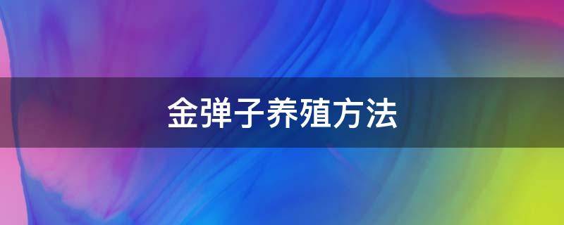 金弹子养殖方法（金弹子的养殖技术）