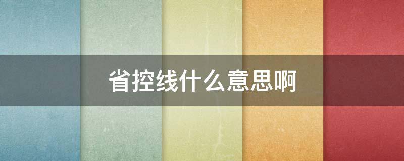 省控线什么意思啊（什么叫省控线?）