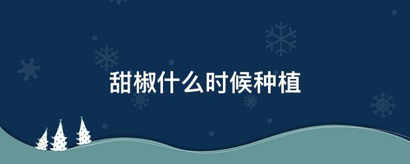 甜椒什么时候种植 甜椒什么时间种植