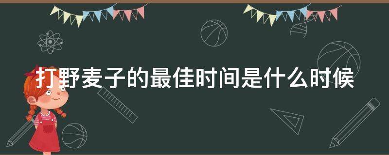 打野麦子的最佳时间是什么时候 打野麦子什么时候打最好?