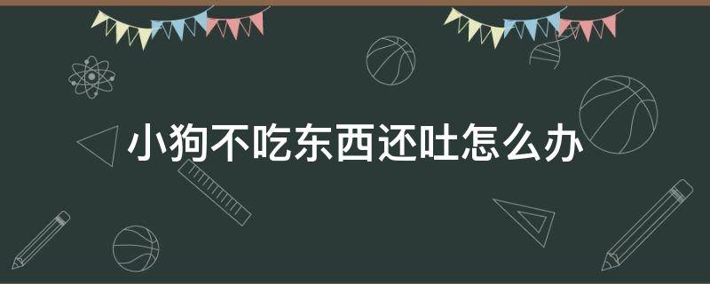 小狗不吃东西还吐怎么办 我家小狗不吃东西还吐该怎么办