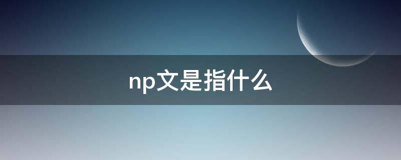 np文是指什么 NP文是啥