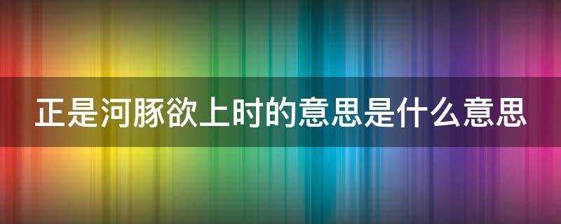 正是河豚欲上时的意思是什么意思 正是河豚欲上时这句诗的大意是什么