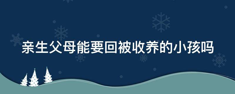 亲生父母能要回被收养的小孩吗