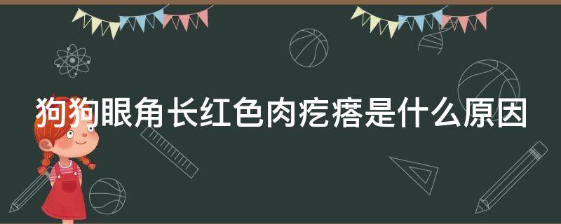 狗狗眼角长红色肉疙瘩是什么原因（狗狗眼角长红色肉粒怎么消除）