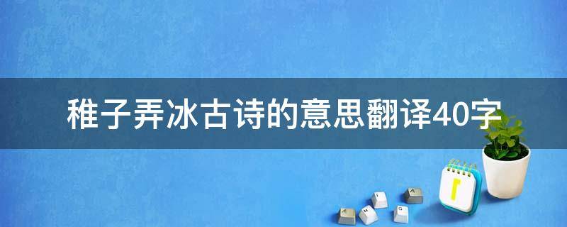 稚子弄冰古诗的意思翻译40字（稚子弄冰古诗的意思翻译20字）