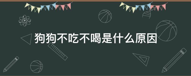 狗狗不吃不喝是什么原因（狗狗不吃不喝是什么原因造成的）