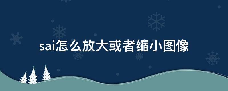 sai怎么放大或者缩小图像（sai图片怎么放大缩小）