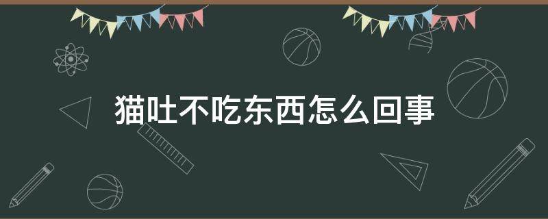 猫吐不吃东西怎么回事（猫吐还不吃东西怎么回事）