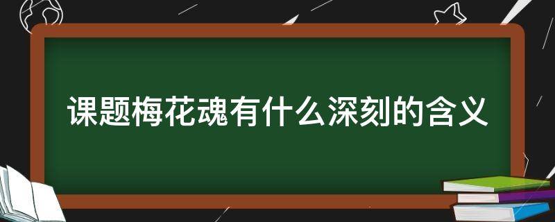 课题梅花魂有什么深刻的含义（《梅花魂》课题的含义是什么?）