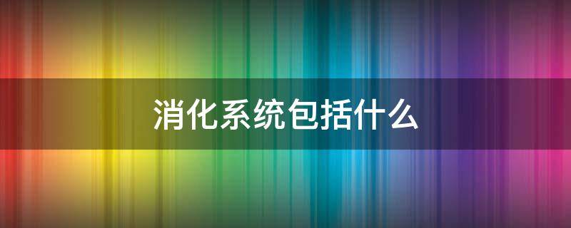 消化系统包括什么 鱼的消化系统包括什么