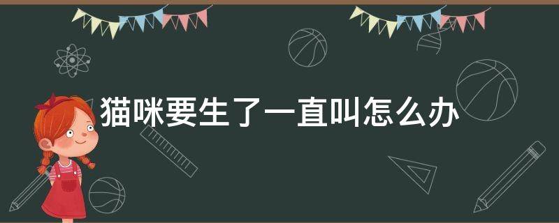 猫咪要生了一直叫怎么办 小猫要生了一直叫怎么办