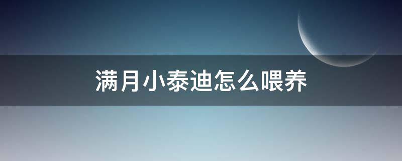 满月小泰迪怎么喂养 满月的小泰迪怎么喂养