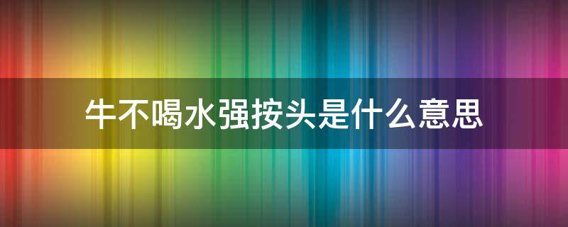 牛不喝水强按头是什么意思（牛不喝水强按头是什么意思理顺）